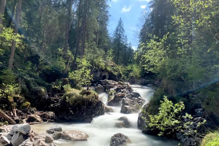 a waterfall surrounded by trees