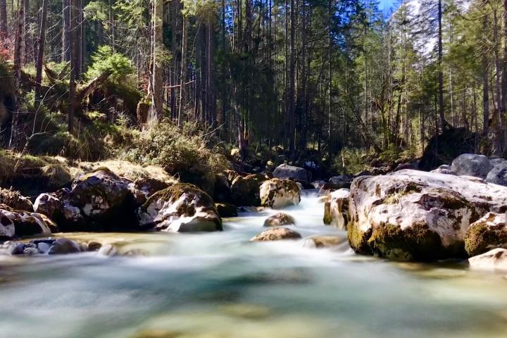 a waterfall in a forest